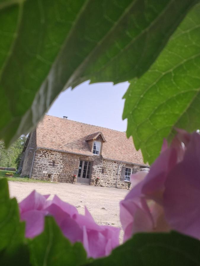 Les Naturelles Saint-Aubin-de-Locquenay Eksteriør bilde